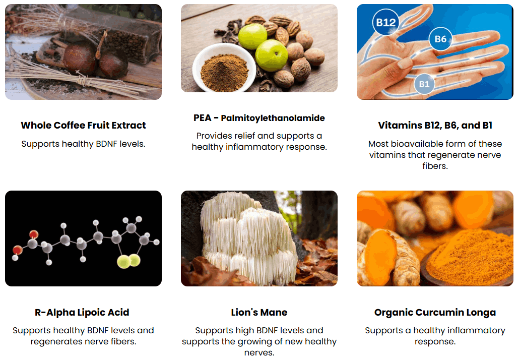 nu nerve-ingredients